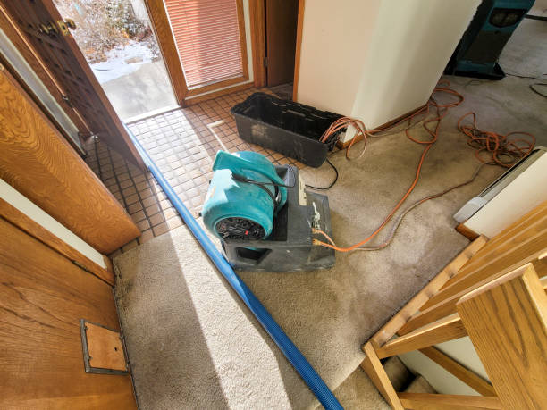 Best Carpet water damage restoration  in Clarence, IA