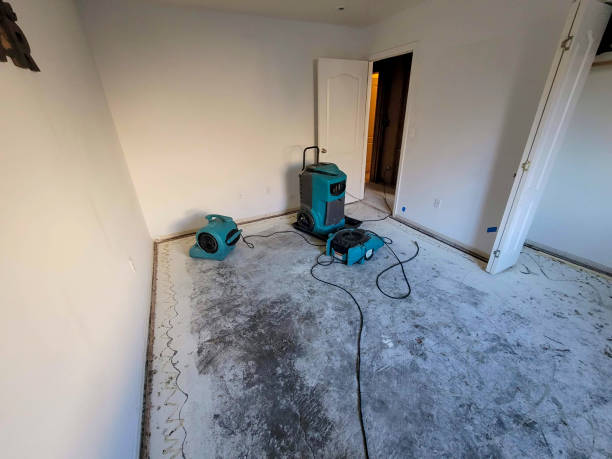 Best Commercial water damage restoration  in Clarence, IA