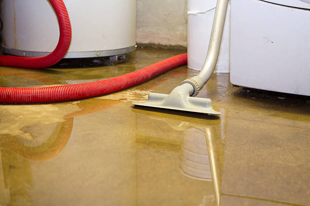 Best Water damage restoration near me  in Clarence, IA