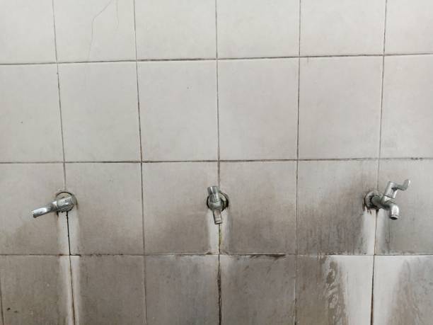 Best Fire Damage Restoration  in Clarence, IA