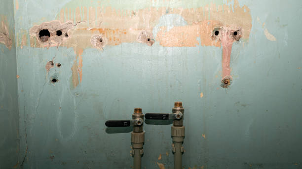 Best Water damage cleanup near me  in Clarence, IA