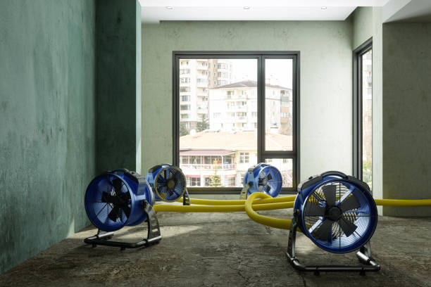 Best Water damage restoration specialists  in Clarence, IA